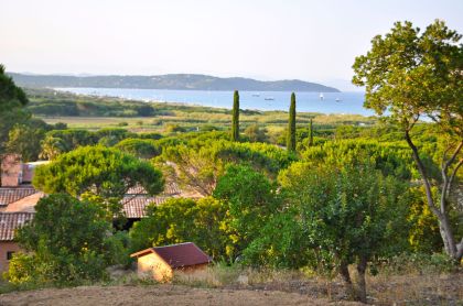 Sentier des pins