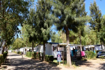 Camping Les Palmiers