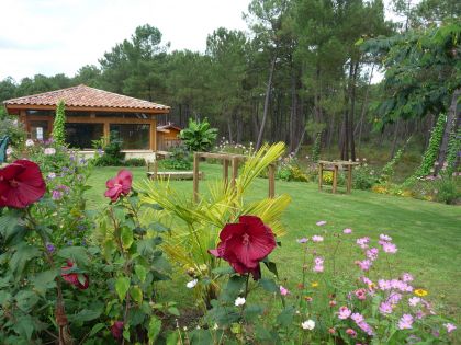 Camping Landes Océanes****